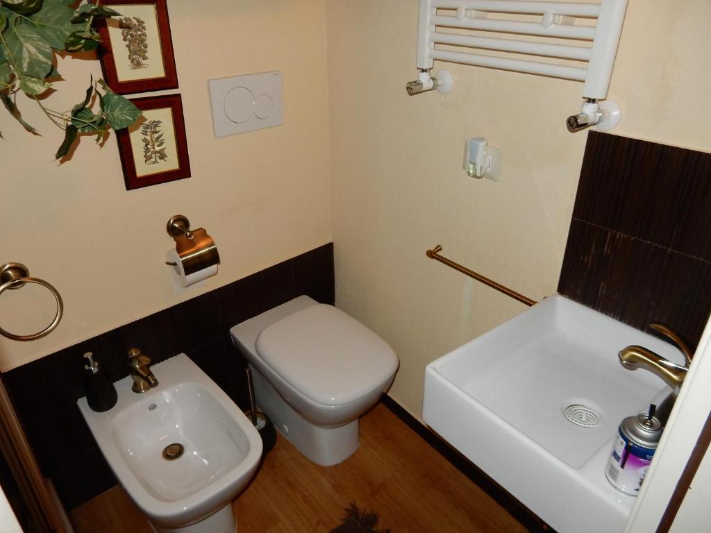 Acasamia room 5